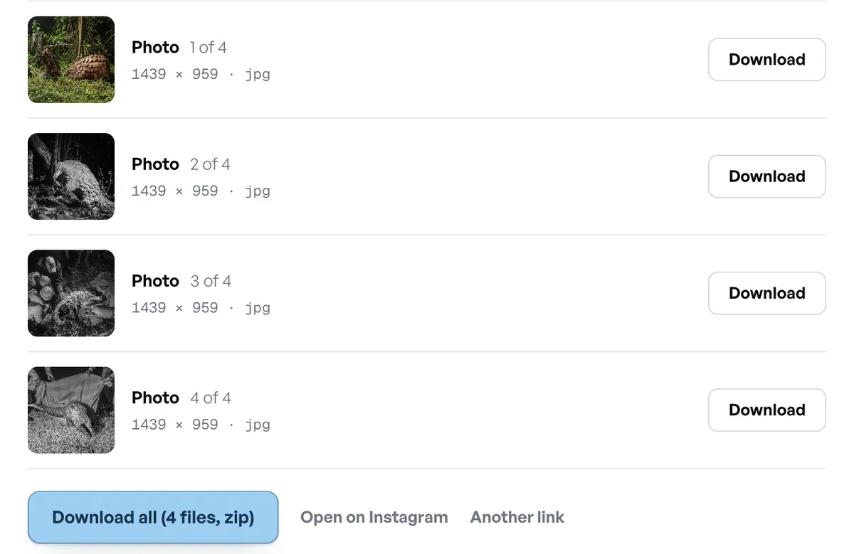 natgeoのカルーセルの写真4枚。1枚ずつの「ダウンロード」ボタンと、zip1つにまとめる「すべてダウンロード」